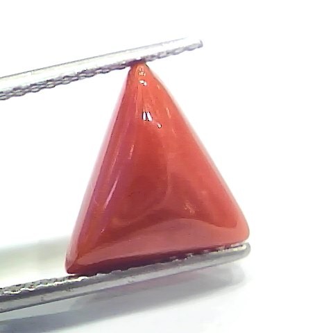 6.41 Ct 7.12 Ratti Natural Italian Triangle Red Coral Moonga Gemstone
