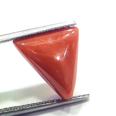 6.41 Ct 7.12 Ratti Natural Italian Triangle Red Coral Moonga Gemstone