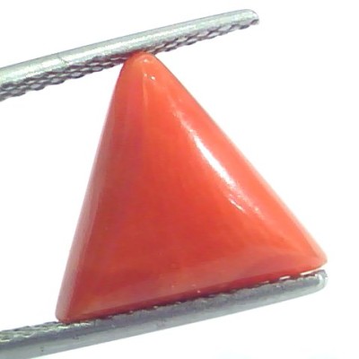 6.43 Ct 10.7 Ratti Natural Italian Triangle Red Coral Moonga Gemstone