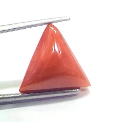 6.42 Ct 7.13 Ratti Natural Italian Triangle Red Coral Moonga Gemstone
