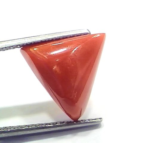 6.42 Ct 7.13 Ratti Natural Italian Triangle Red Coral Moonga Gemstone