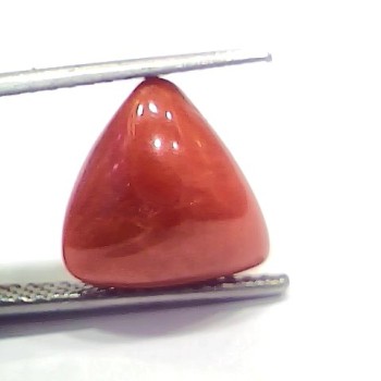 6.56 Ct 7.28 Ratti Natural Italian Triangle Red Coral Moonga Gemstone