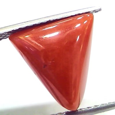 6.61 Ct 11 Ratti Natural Italian Triangle Red Coral Moonga Gemstone