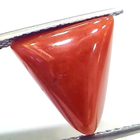 6.61 Ct 11 Ratti Natural Italian Triangle Red Coral Moonga Gemstone