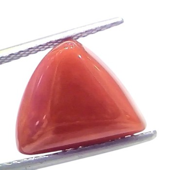 6.68 Ct Natural Italian Triangle Red Coral Trikon Moonga Gemstone 6.68 Ct Natural Italian Triangle Red Coral Trikon Moonga Gemstone