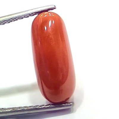 6.75 Ct 11.16 Ratti Natural Italian Red Coral Moonga Gemstone