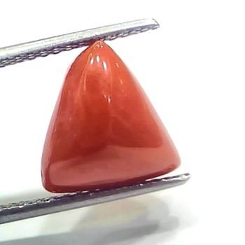 6.73 Ct 7.47 Ratti Natural Italian Triangle Red Coral Moonga Gemstone