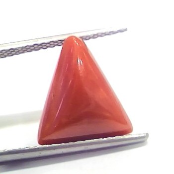 6.69 Ct 7.43 Ratti Natural Italian Triangle Red Coral Moonga Gemstone