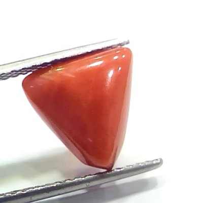 6.73 Ct 7.47 Ratti Natural Italian Triangle Red Coral Moonga Gemstone