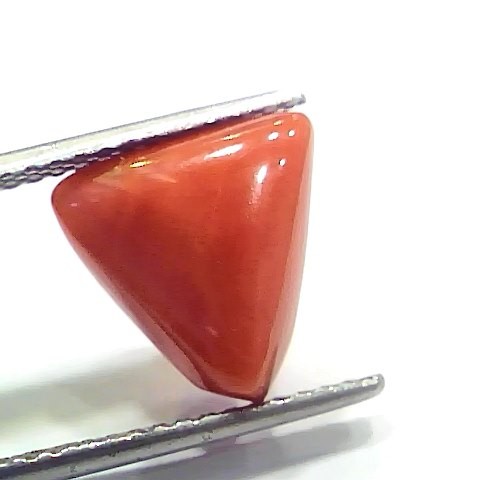 6.73 Ct 7.47 Ratti Natural Italian Triangle Red Coral Moonga Gemstone
