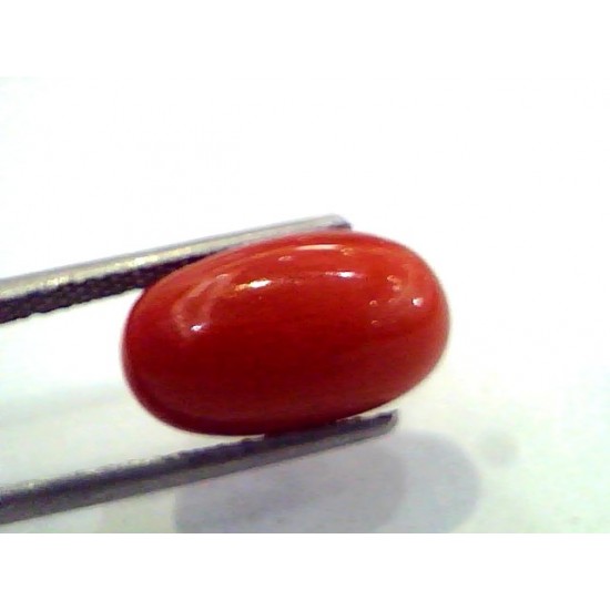 6.72 Ct Untreated Natural Premium Red Italian Coral AAA