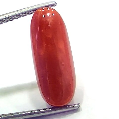 6.75 Ct 7.5 Ratti Natural Italian Red Coral Moonga Gemstone