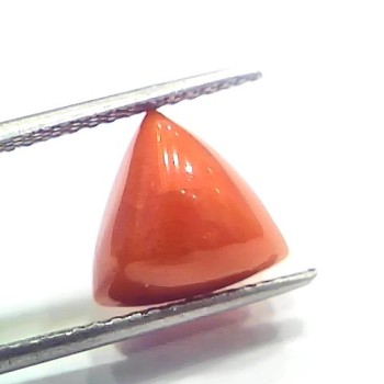 6.85 Ct 7.61 Ratti Natural Italian Triangle Red Coral Moonga Gemstone