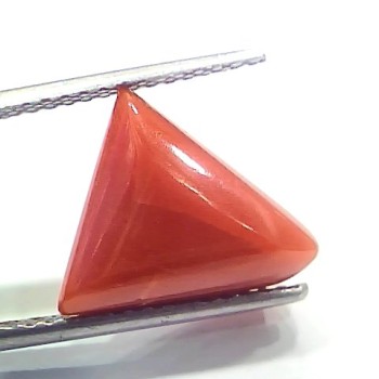 6.81 Ct 7.56 Ratti Natural Italian Triangle Red Coral Moonga Gemstone