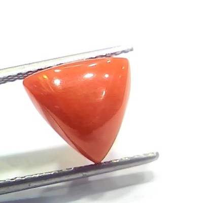 6.85 Ct 7.61 Ratti Natural Italian Triangle Red Coral Moonga Gemstone