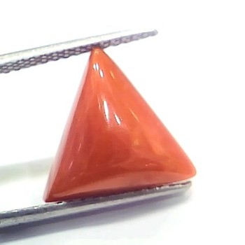 6.95 Ct 7.72 Ratti Natural Italian Triangle Red Coral Moonga Gemstone