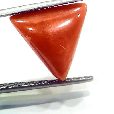 6.95 Ct 7.72 Ratti Natural Italian Triangle Red Coral Moonga Gemstone