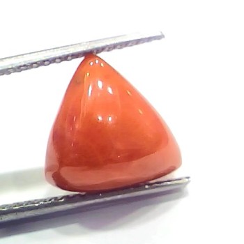 6.94 Ct 7.71 Ratti Natural Italian Triangle Red Coral Moonga Gemstone