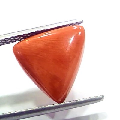 6.94 Ct 7.71 Ratti Natural Italian Triangle Red Coral Moonga Gemstone