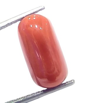 7.05 Ct 7.78 Ratti Natural Untreated Italian Red Coral Moonga Gems 7.05 Ct 7.78 Ratti Natural Untreated Italian Red Coral Moonga Gems