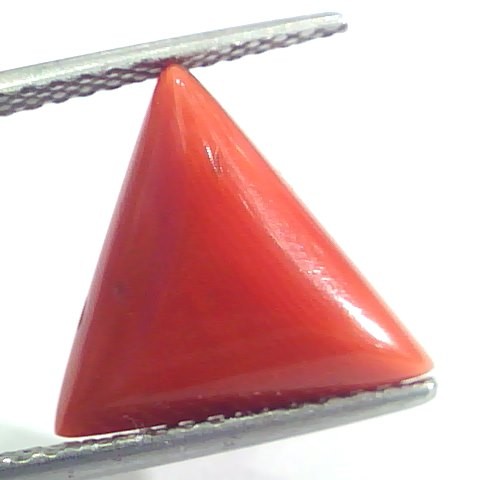 7.04 Ct 11.7 Ratti Natural Italian Triangle Red Coral Moonga Gemstone