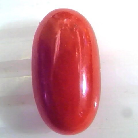 7.07 Ct Untreated Natural Premium Italian Red Coral AAAAA