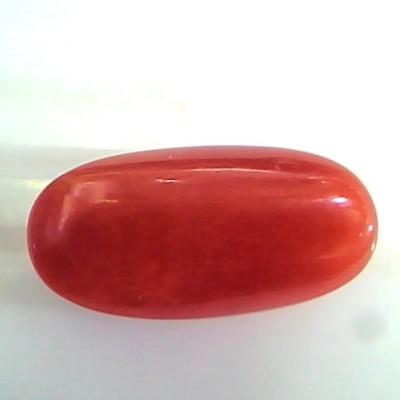7.12 Ct Untreated Natural Premium Italian Red Coral AAAAA