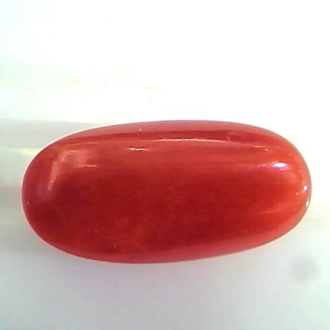 7.12 Ct Untreated Natural Premium Italian Red Coral AAAAA