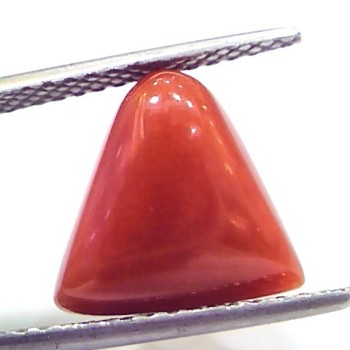 7.13 Ct 7.92 Ratti Natural Italian Triangle Red Coral Moonga Gemstone