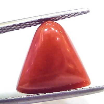 7.13 Ct 7.92 Ratti Natural Italian Triangle Red Coral Moonga Gemstone