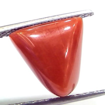 7.13 Ct 7.92 Ratti Natural Italian Triangle Red Coral Moonga Gemstone