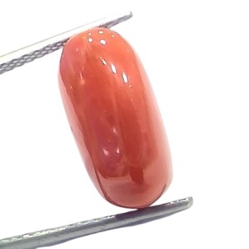 7.18 Ct 7.96 Ratti Natural Untreated Italian Red Coral Moonga Gems 7.18 Ct 7.96 Ratti Natural Untreated Italian Red Coral Moonga Gems