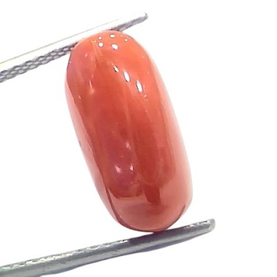7.18 Ct 7.96 Ratti Natural Untreated Italian Red Coral Moonga Gems 7.18 Ct 7.96 Ratti Natural Untreated Italian Red Coral Moonga Gems