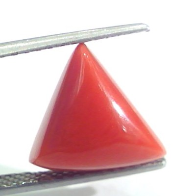 7.24 Ct 12 Ratti Natural Italian Triangle Red Coral Moonga Gemstone
