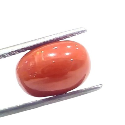 7.28 Ct 8.04 Ratti Natural Untreated Italian Red Coral Moonga Gems 7.28 Ct 8.04 Ratti Natural Untreated Italian Red Coral Moonga Gems
