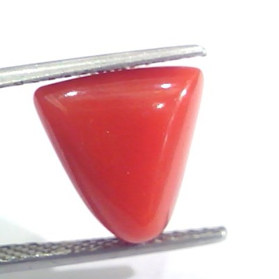 7.29 Ct 12.1 Ratti Natural Italian Triangle Red Coral Moonga Gemstone