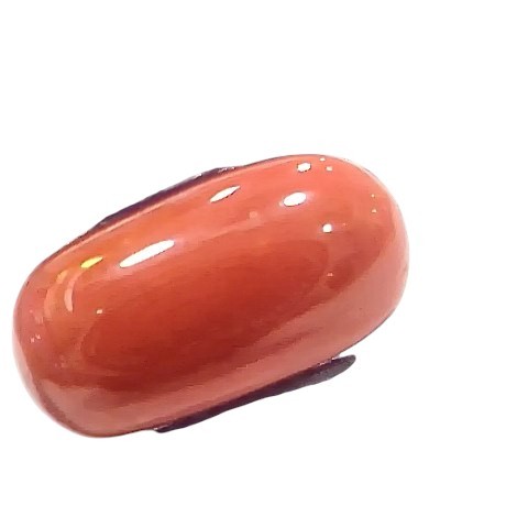 7.51 Ct 8.3 Ratti Natural Untreated Italian Red Coral Moonga Gems 7.51 Ct 8.3 Ratti Natural Untreated Italian Red Coral Moonga Gems