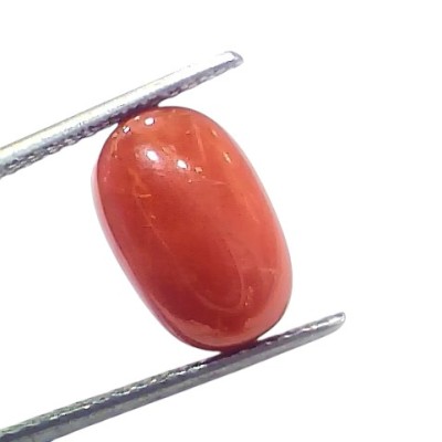 7.54 Ct 8.32 Ratti Natural Untreated Italian Red Coral Moonga AAAAA 7.54 Ct 8.32 Ratti Natural Untreated Italian Red Coral Moonga AAAAA