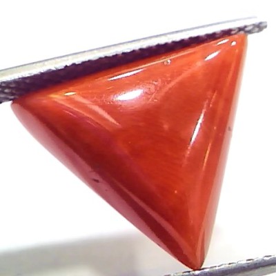 7.58 Ct 12.5 Ratti Natural Italian Triangle Red Coral Moonga Gemstone