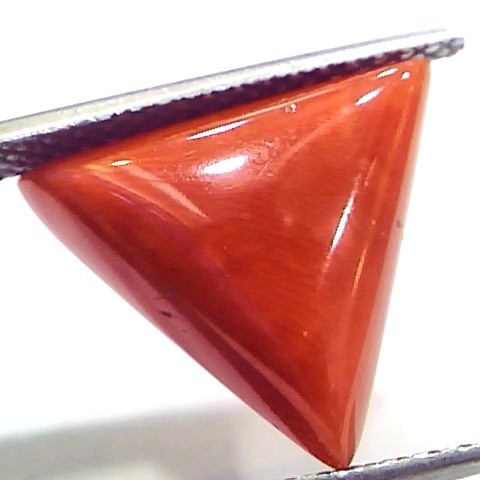 7.58 Ct 12.5 Ratti Natural Italian Triangle Red Coral Moonga Gemstone