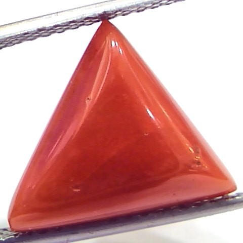 7.58 Ct 12.5 Ratti Natural Italian Triangle Red Coral Moonga Gemstone