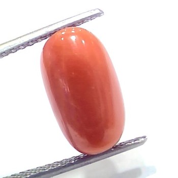 7.60 Ct 8.4 Ratti Natural Untreated Italian Red Coral Moonga Gems