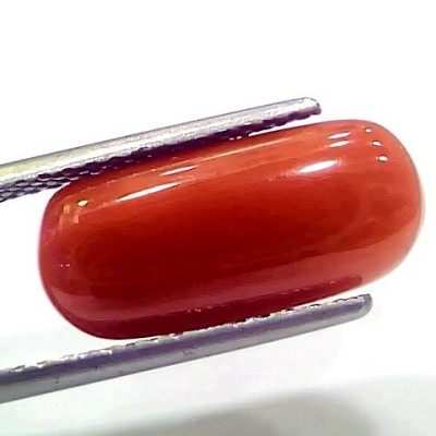 7.66 Ct 8.51 Ratti Natural Italian Red Coral Moonga Gemstone