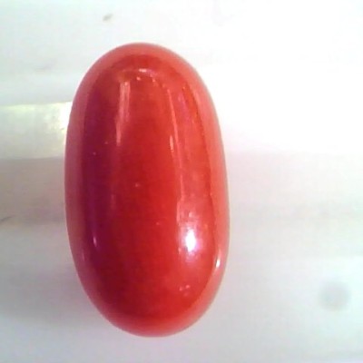 7.60 Ct Untreated Natural Premium Italian Red Coral AAAAA