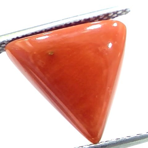 7.67 Ct 12.7 Ratti Natural Italian Triangle Red Coral Moonga Gemstone