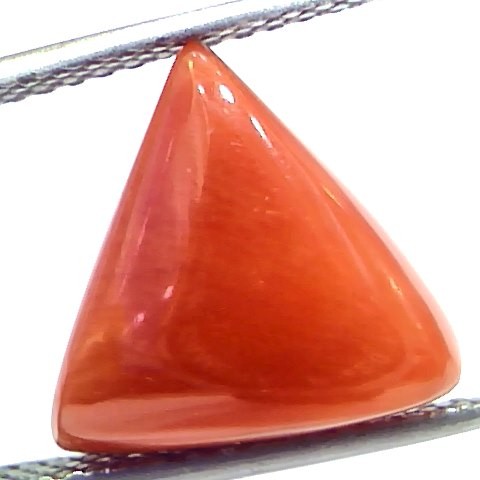 7.67 Ct 12.7 Ratti Natural Italian Triangle Red Coral Moonga Gemstone