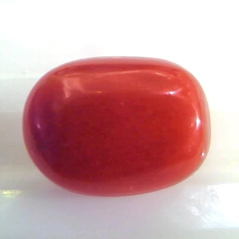 7.68 Ct Untreated Natural Premium Italian Red Coral AAAAA