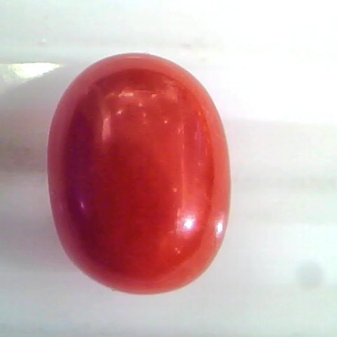 7.68 Ct Untreated Natural Premium Italian Red Coral AAAAA