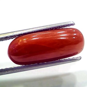 7.72 Ct 8.57 Ratti Natural Italian Red Coral Moonga Gemstone