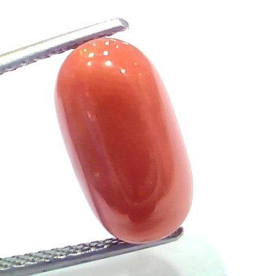7.92 Ct 8.7 Ratti Natural Untreated Italian Red Coral Moonga Gems